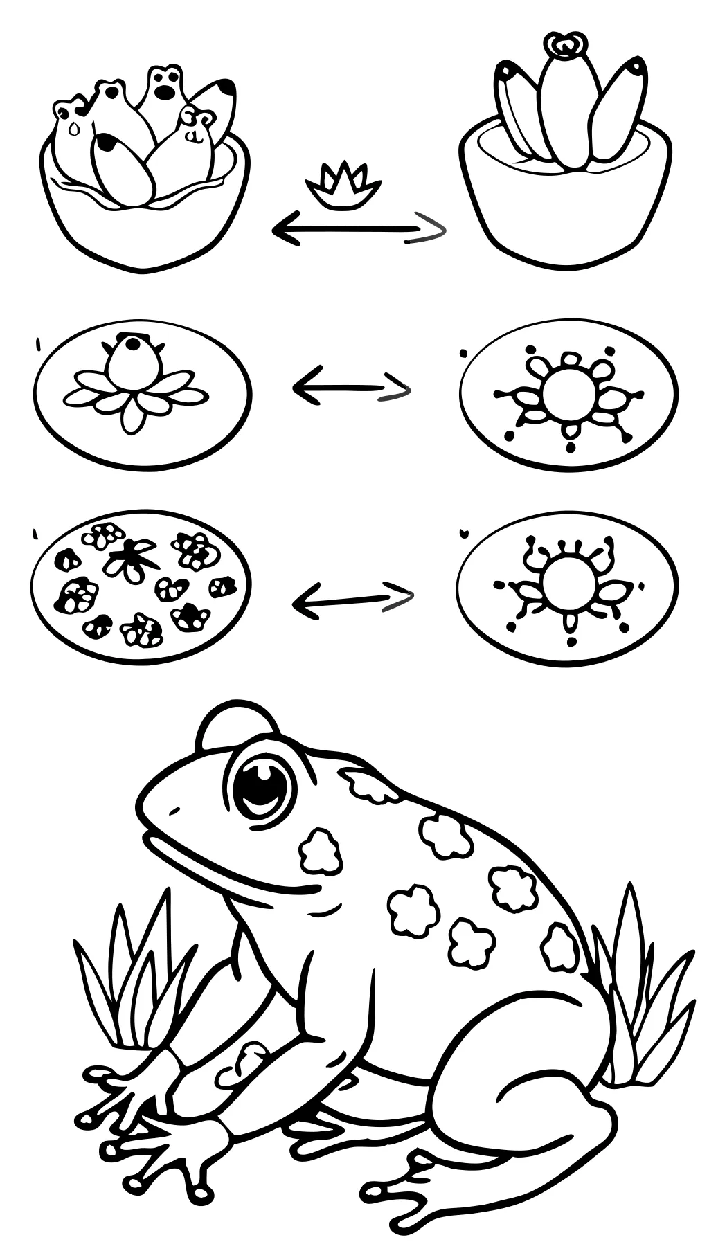 Página de coloración del ciclo de vida de la rana